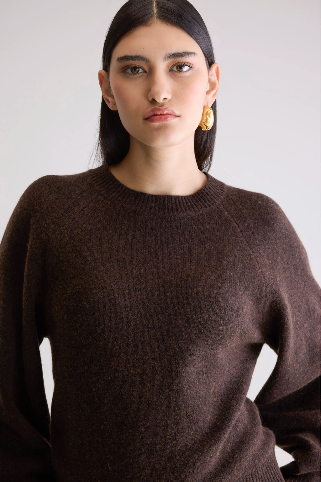 Ameka Crewneck Sweater (252 / W / DARK ROAST)